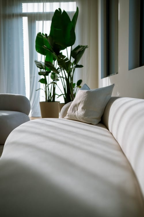 Nahaufnahme eines hellen Sofas mit Kissen und Lichtstreifen, im Hintergrund eine große Pflanze